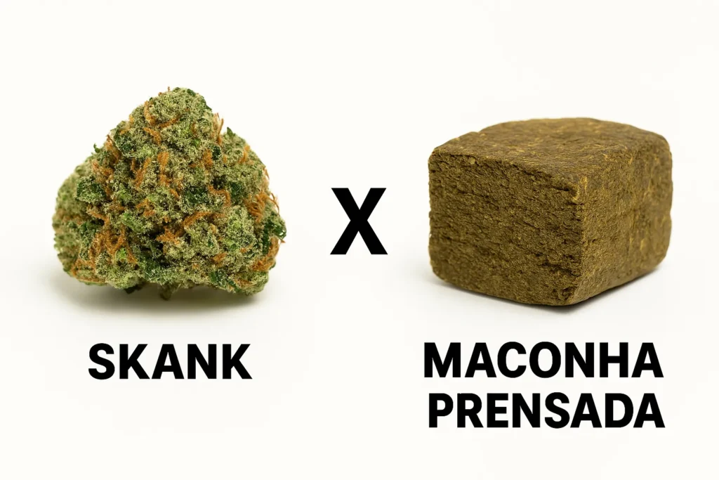 Skank ou Skunk: O que é essa maconha e os perigos da droga Comparativo skank x maconha prensada